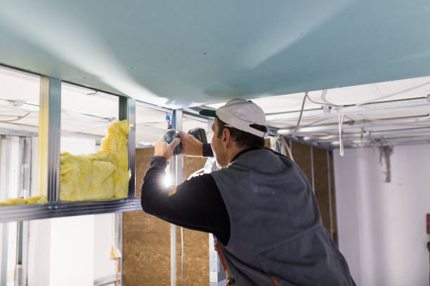 Best Geographic-Specific Insulation Services in Bloomington, IL