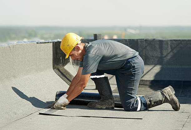 Best Specialized Insulation Services in Bloomington, IL